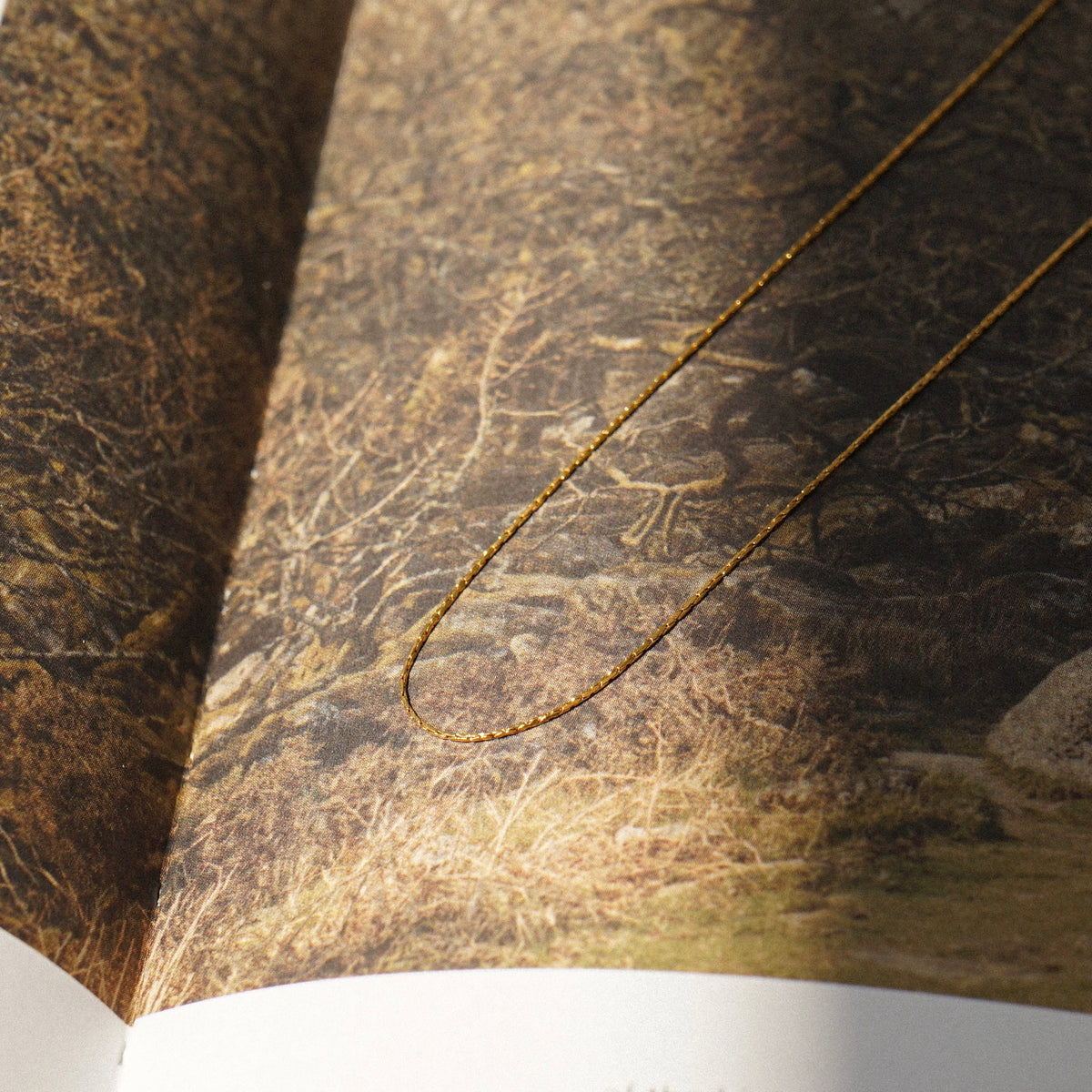 Lana Fine Chain Necklace (Gold)