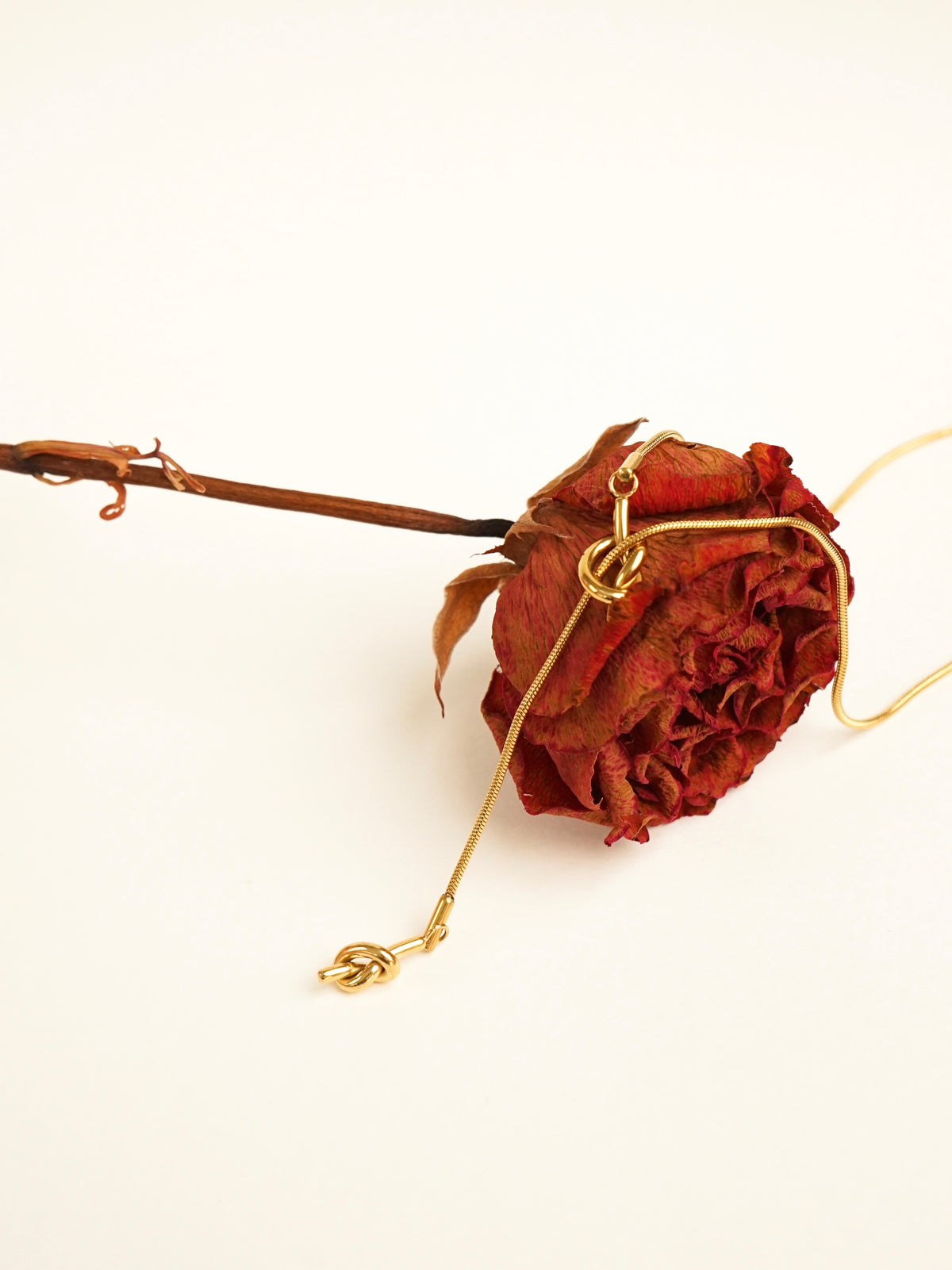 Odelia Knot Lariat Necklace (Gold)
