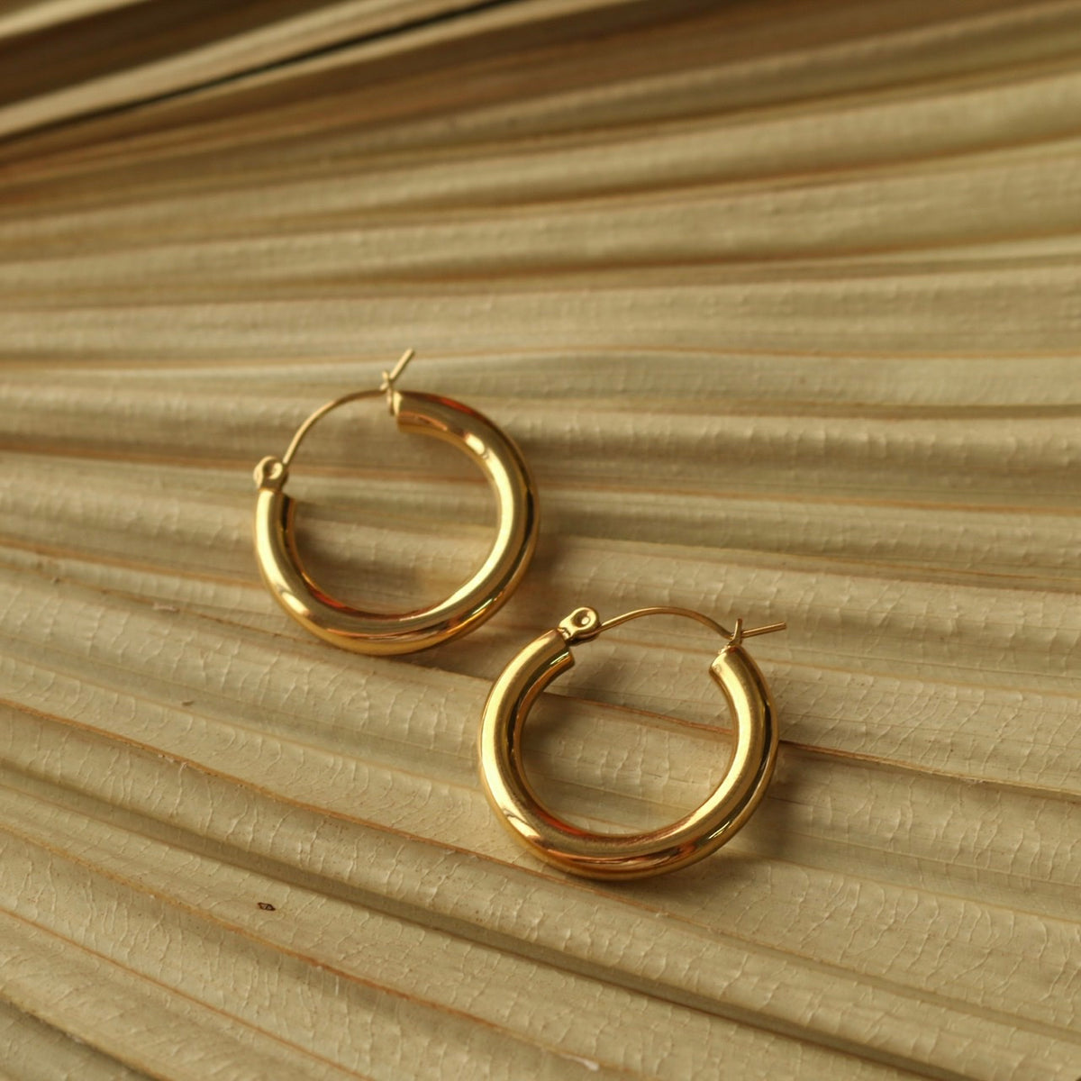 Bold Hoop Earrings (Gold)